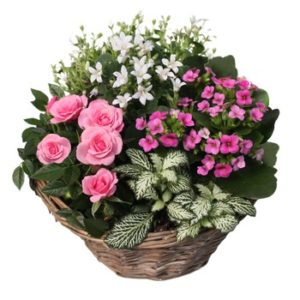Fleurs de coeur
